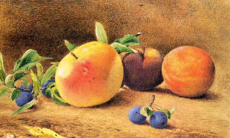 Hill, John William Study of Fruit Sweden oil painting art